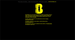 Desktop Screenshot of bernsteintapes.com